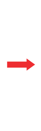 Red Arrow Long.png